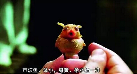 線路板廠資訊：膜拜吧，以后科幻產品都會出現在你的身邊