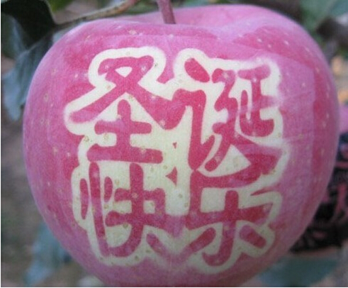 深聯HDI線路板廠平安果大放送~