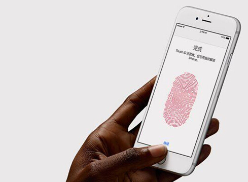 賣腎又跳樓，電路板廠盤點那些有關蘋果的荒唐事