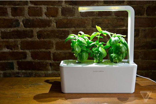 PCB廠教你如何變成史上最懶園丁