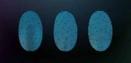 指紋識別軟硬結(jié)合板：為何華為將指紋識別放在背面？