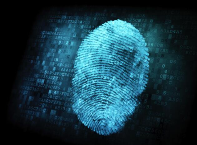 指紋識別軟硬結合板資訊：指紋識別到底是個啥？