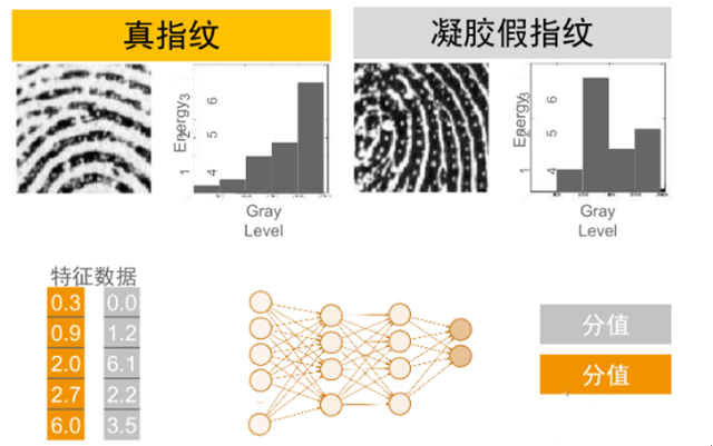 指紋識別軟硬結合板支招假指紋識別技術