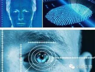 汽車軟硬結合板之指靜脈識別會是下一個“爆點”嗎