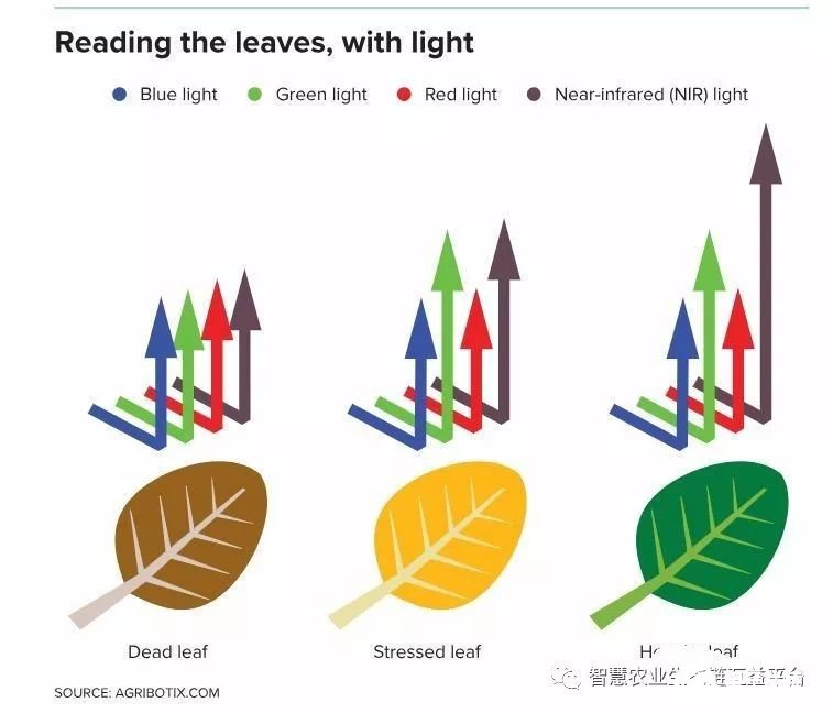 PCB廠之無人機在農業領域潛在的應用有哪些
