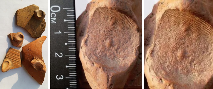 指紋識別軟硬結合板之人類發現的最早的指紋在哪里？